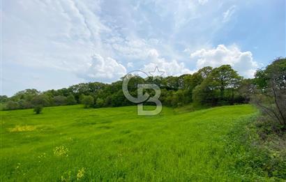 ÇANAKKALE BİGA SAZOBA KÖYÜNDE MÜKEMMEL KONUMDA SATILIK TARLA