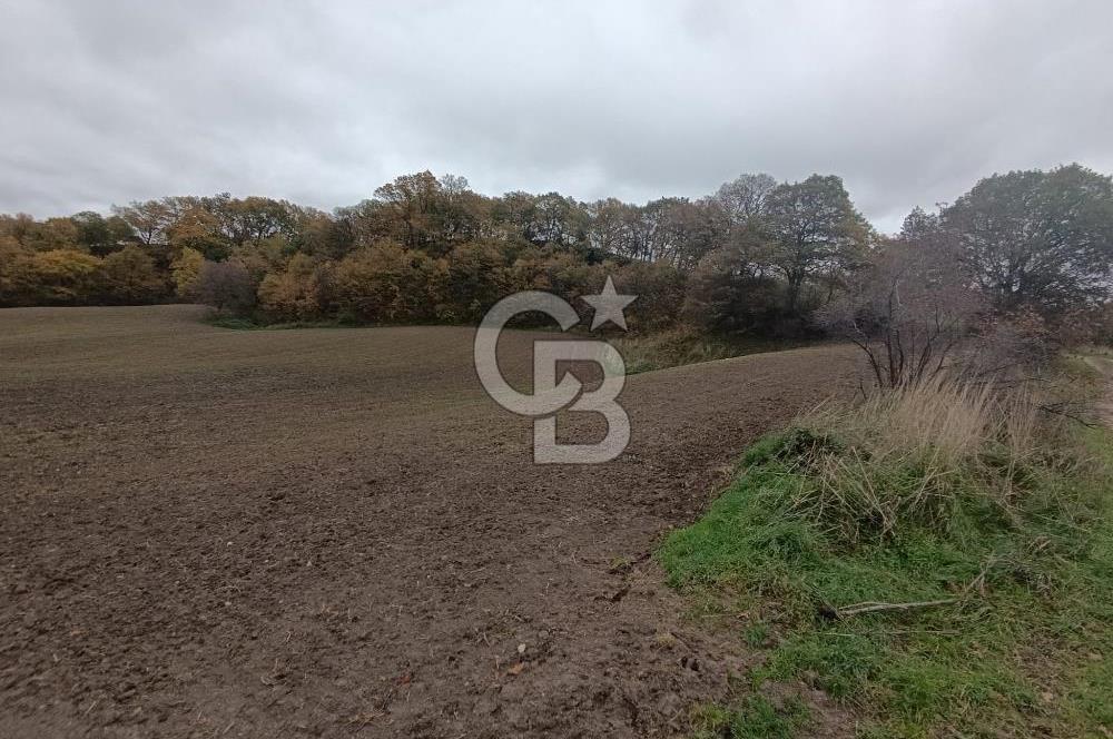 ÇANAKKALE BİGA SAZOBA KÖYÜNDE MÜKEMMEL KONUMDA SATILIK TARLA