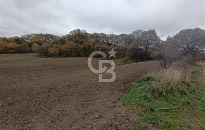 ÇANAKKALE BİGA SAZOBA KÖYÜNDE MÜKEMMEL KONUMDA SATILIK TARLA