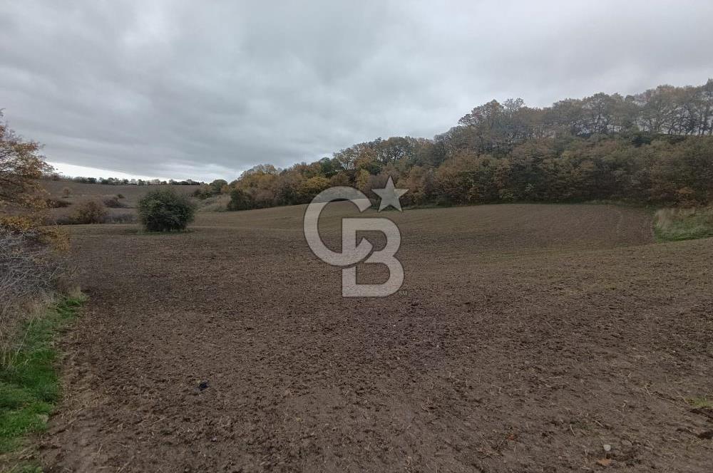 ÇANAKKALE BİGA SAZOBA KÖYÜNDE MÜKEMMEL KONUMDA SATILIK TARLA