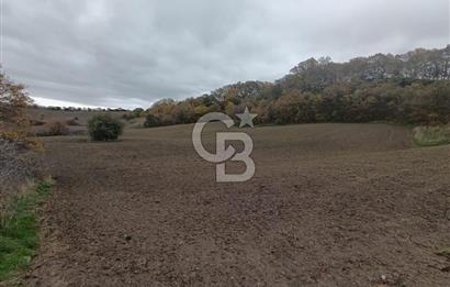 ÇANAKKALE BİGA SAZOBA KÖYÜNDE MÜKEMMEL KONUMDA SATILIK TARLA