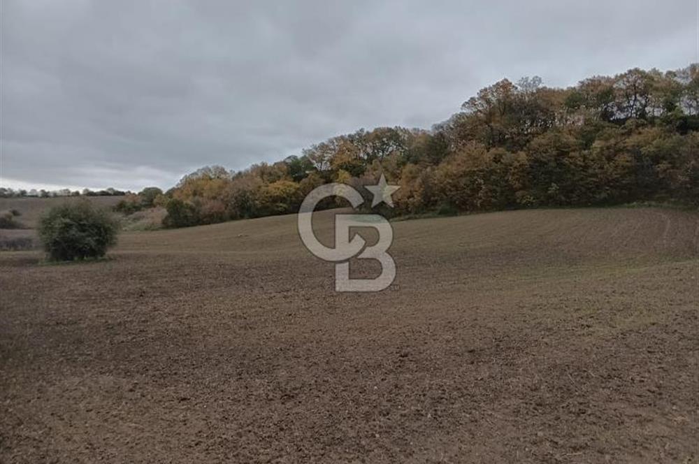 ÇANAKKALE BİGA SAZOBA KÖYÜNDE MÜKEMMEL KONUMDA SATILIK TARLA