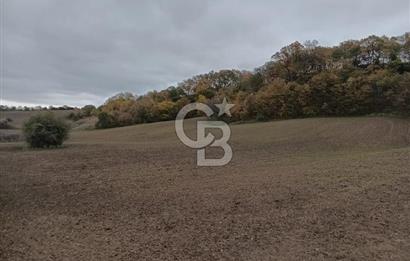 ÇANAKKALE BİGA SAZOBA KÖYÜNDE MÜKEMMEL KONUMDA SATILIK TARLA