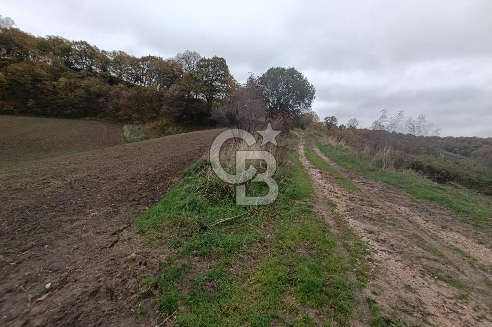 ÇANAKKALE BİGA SAZOBA KÖYÜNDE MÜKEMMEL KONUMDA SATILIK TARLA