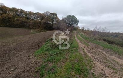 ÇANAKKALE BİGA SAZOBA KÖYÜNDE MÜKEMMEL KONUMDA SATILIK TARLA