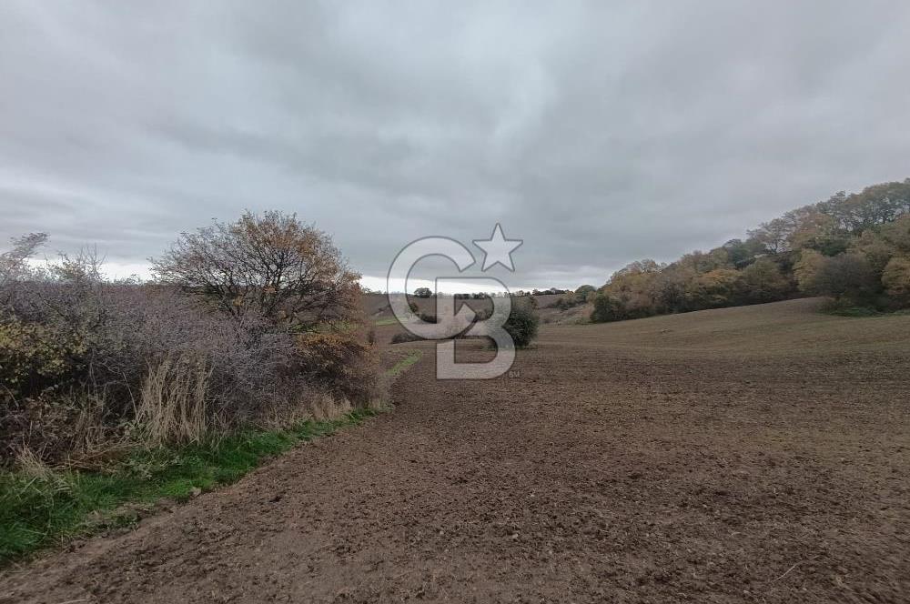 ÇANAKKALE BİGA SAZOBA KÖYÜNDE MÜKEMMEL KONUMDA SATILIK TARLA