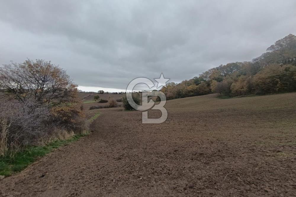 ÇANAKKALE BİGA SAZOBA KÖYÜNDE MÜKEMMEL KONUMDA SATILIK TARLA