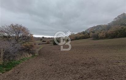 ÇANAKKALE BİGA SAZOBA KÖYÜNDE MÜKEMMEL KONUMDA SATILIK TARLA