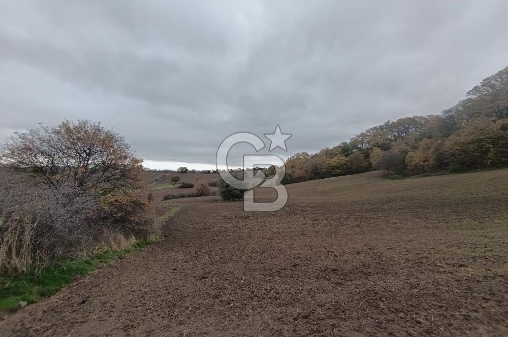 ÇANAKKALE BİGA SAZOBA KÖYÜNDE MÜKEMMEL KONUMDA SATILIK TARLA
