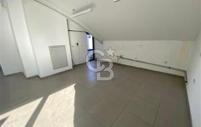 DİKMENDE KOMPLE KİRALIK BİNA 1.700 M² TEK BAĞIMSIZ HAVUZLU