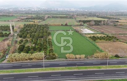 Pamukörende Ana Yola 80m Cepheli Yatırıma Uygun 16.216 m2 Arazi
