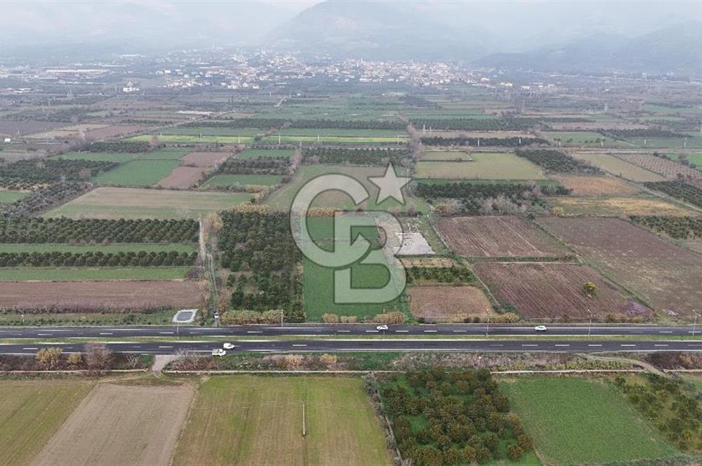 Pamukörende Ana Yola 80m Cepheli Yatırıma Uygun 16.216 m2 Arazi