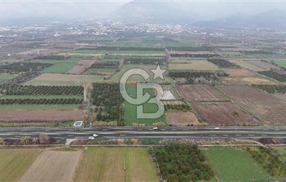 Pamukörende Ana Yola 80m Cepheli Yatırıma Uygun 16.216 m2 Arazi