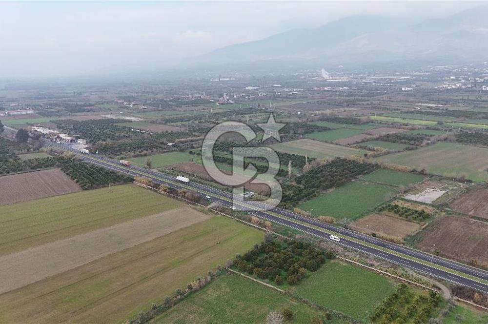 Pamukörende Ana Yola 80m Cepheli Yatırıma Uygun 16.216 m2 Arazi