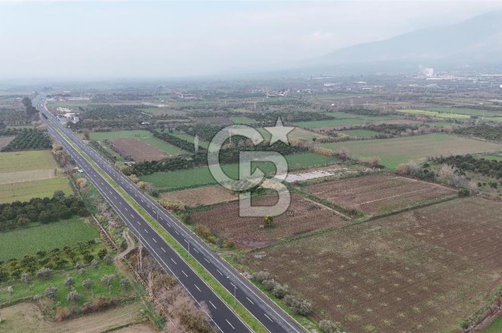 Pamukörende Ana Yola 80m Cepheli Yatırıma Uygun 16.216 m2 Arazi