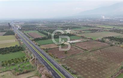 Pamukörende Ana Yola 80m Cepheli Yatırıma Uygun 16.216 m2 Arazi