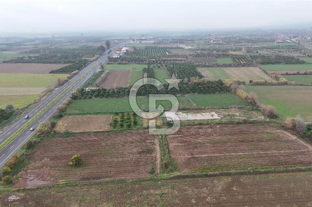 Pamukörende Ana Yola 80m Cepheli Yatırıma Uygun 16.216 m2 Arazi