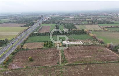 Pamukörende Ana Yola 80m Cepheli Yatırıma Uygun 16.216 m2 Arazi