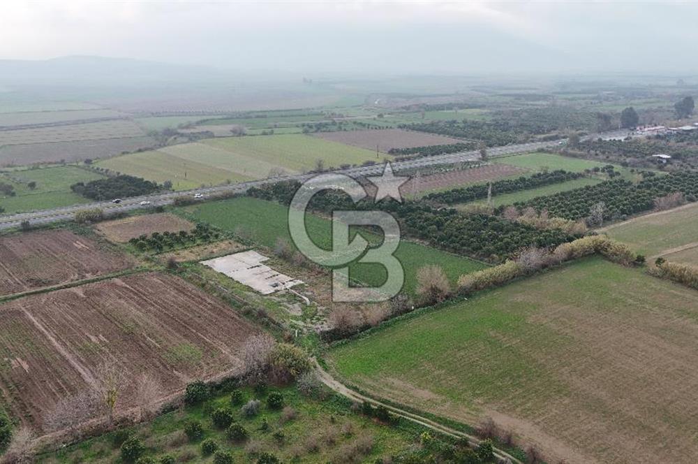 Pamukörende Ana Yola 80m Cepheli Yatırıma Uygun 16.216 m2 Arazi