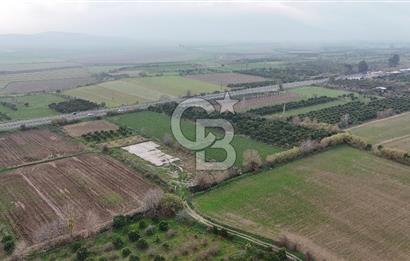 Pamukörende Ana Yola 80m Cepheli Yatırıma Uygun 16.216 m2 Arazi