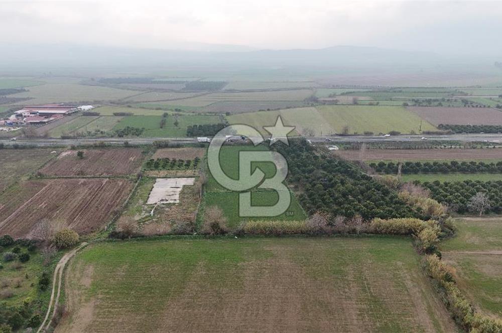 Pamukörende Ana Yola 80m Cepheli Yatırıma Uygun 16.216 m2 Arazi
