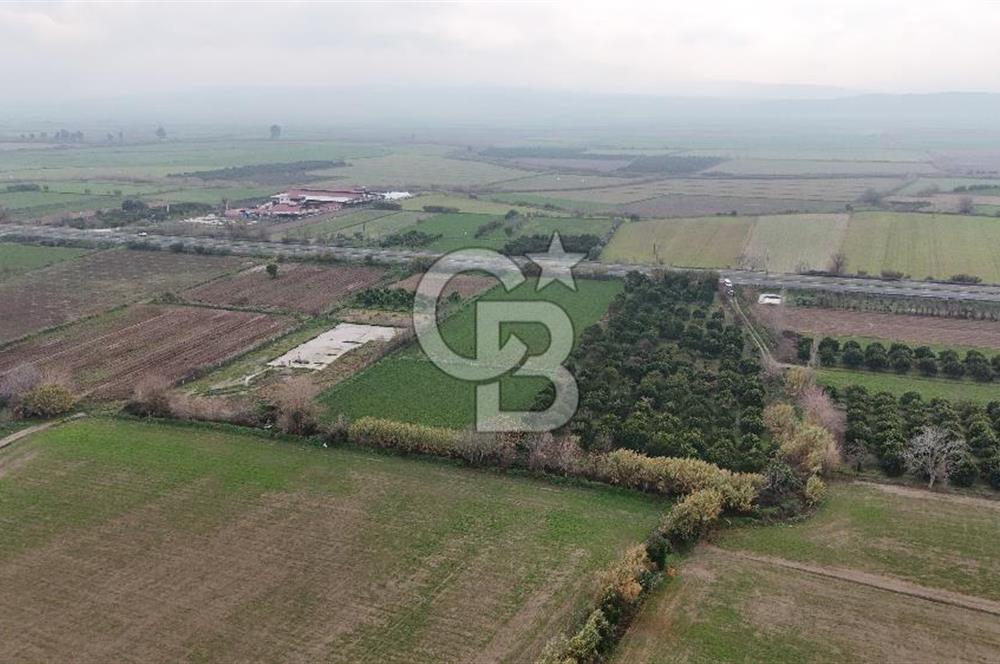 Pamukörende Ana Yola 80m Cepheli Yatırıma Uygun 16.216 m2 Arazi