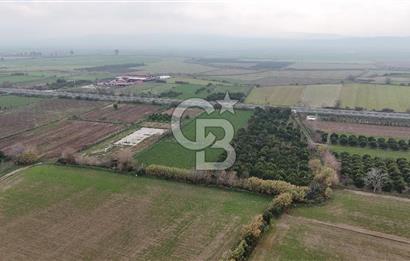 Pamukörende Ana Yola 80m Cepheli Yatırıma Uygun 16.216 m2 Arazi