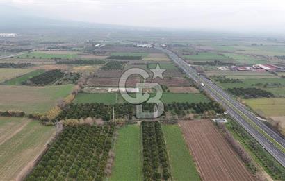 Pamukörende Ana Yola 80m Cepheli Yatırıma Uygun 16.216 m2 Arazi