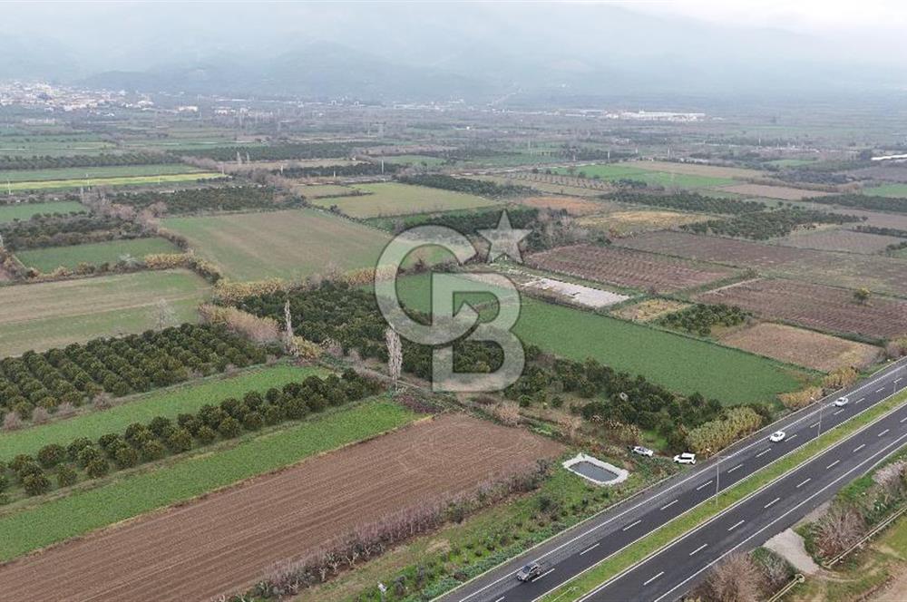 Pamukörende Ana Yola 80m Cepheli Yatırıma Uygun 16.216 m2 Arazi