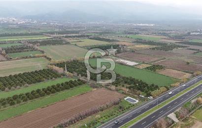 Pamukörende Ana Yola 80m Cepheli Yatırıma Uygun 16.216 m2 Arazi