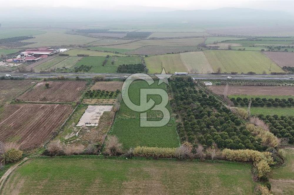 Pamukörende Ana Yola 80m Cepheli Yatırıma Uygun 16.216 m2 Arazi