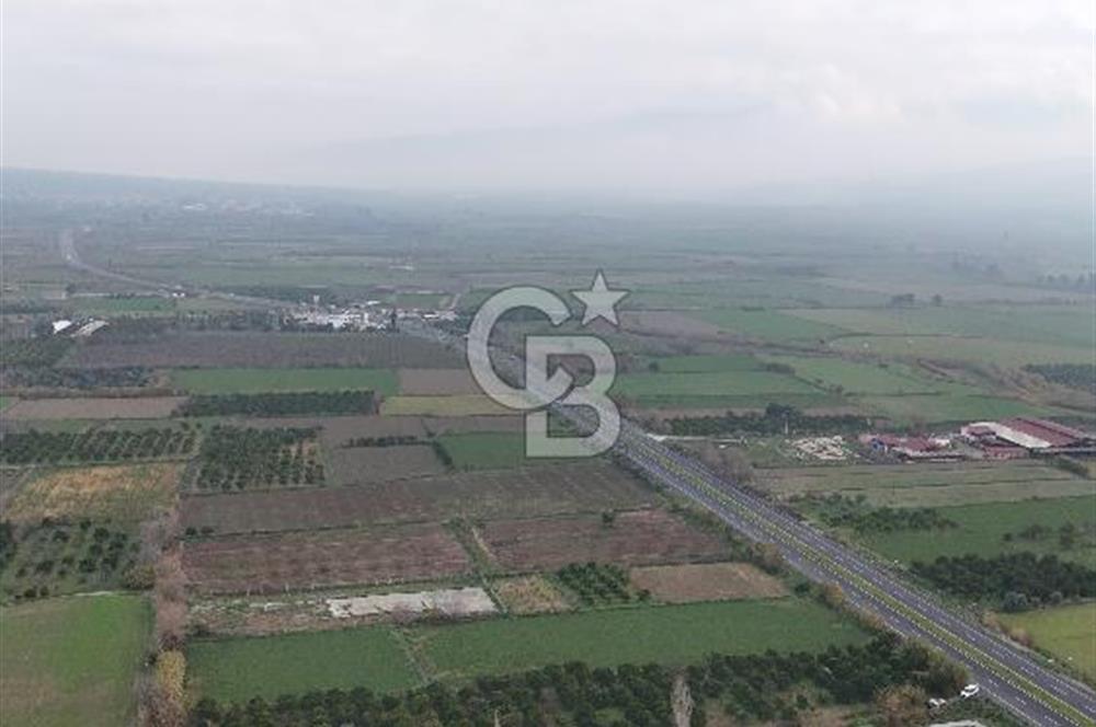 Pamukörende Ana Yola 80m Cepheli Yatırıma Uygun 16.216 m2 Arazi