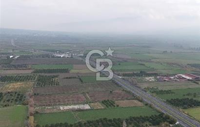 Pamukörende Ana Yola 80m Cepheli Yatırıma Uygun 16.216 m2 Arazi