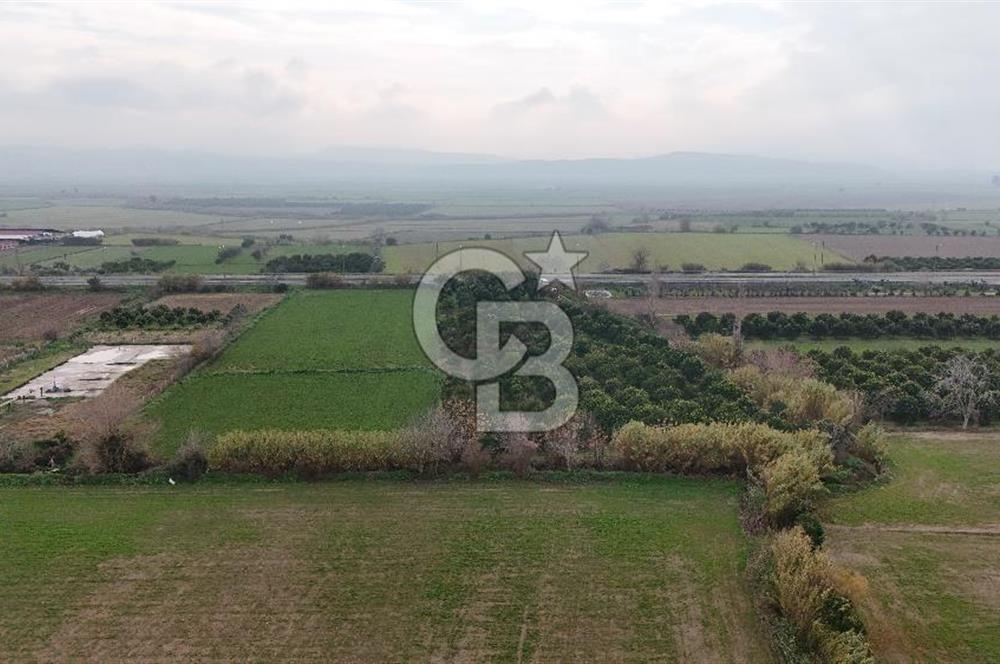 Pamukörende Ana Yola 80m Cepheli Yatırıma Uygun 16.216 m2 Arazi