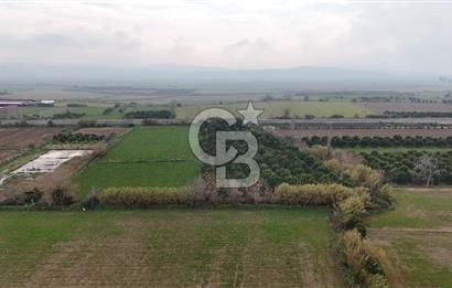 Pamukörende Ana Yola 80m Cepheli Yatırıma Uygun 16.216 m2 Arazi