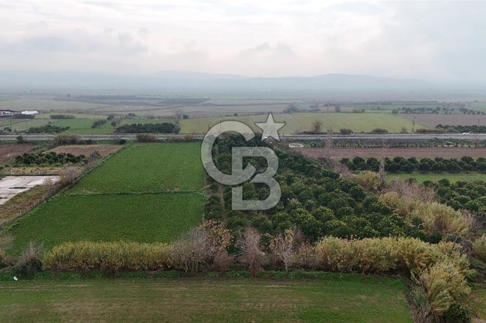 Pamukörende Ana Yola 80m Cepheli Yatırıma Uygun 16.216 m2 Arazi