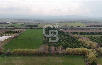 Pamukörende Ana Yola 80m Cepheli Yatırıma Uygun 16.216 m2 Arazi