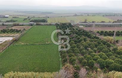 Pamukörende Ana Yola 80m Cepheli Yatırıma Uygun 16.216 m2 Arazi