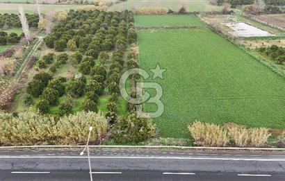 Pamukörende Ana Yola 80m Cepheli Yatırıma Uygun 16.216 m2 Arazi
