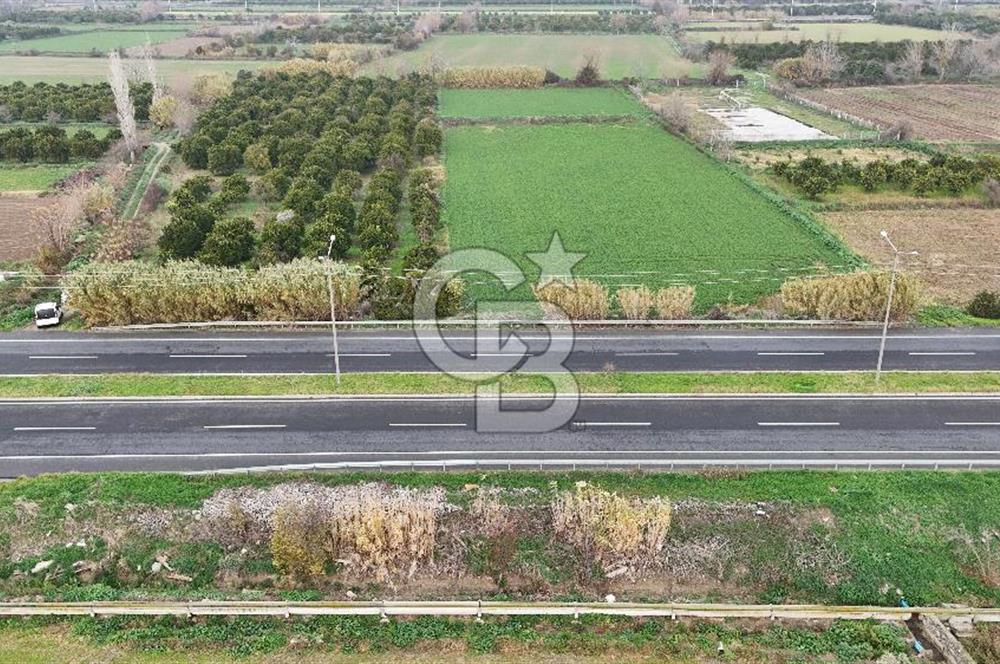 Pamukörende Ana Yola 80m Cepheli Yatırıma Uygun 16.216 m2 Arazi