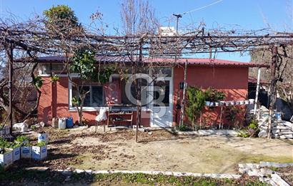 Muğla Yatağan Bozarmut'ta Satılık Bahçeli Müstakil Ev