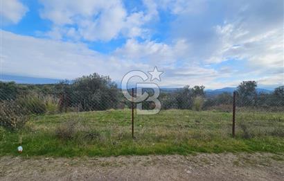 AYVALIK GAZİKEMALPAŞA' da 6 Dönüm Satılık Zeytinlik 