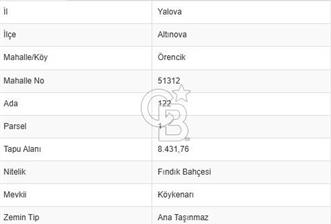 YALOVA ALTINOVA ÖRENCİK KÖYÜ 8431,76 M2 TARIMA UYGUN TARLA ! - 6 - 324227