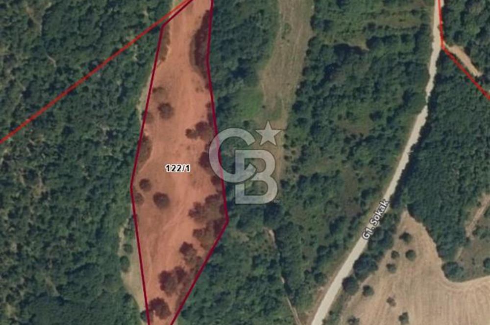 YALOVA ALTINOVA ÖRENCİK KÖYÜ 8431,76 M2 TARIMA UYGUN TARLA !