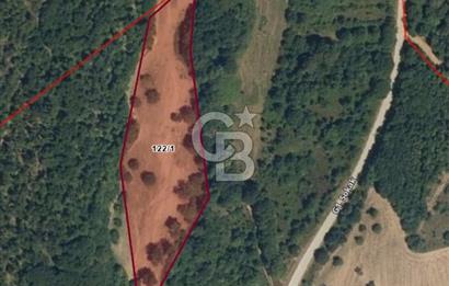 YALOVA ALTINOVA ÖRENCİK KÖYÜ 8431,76 M2 TARIMA UYGUN TARLA !