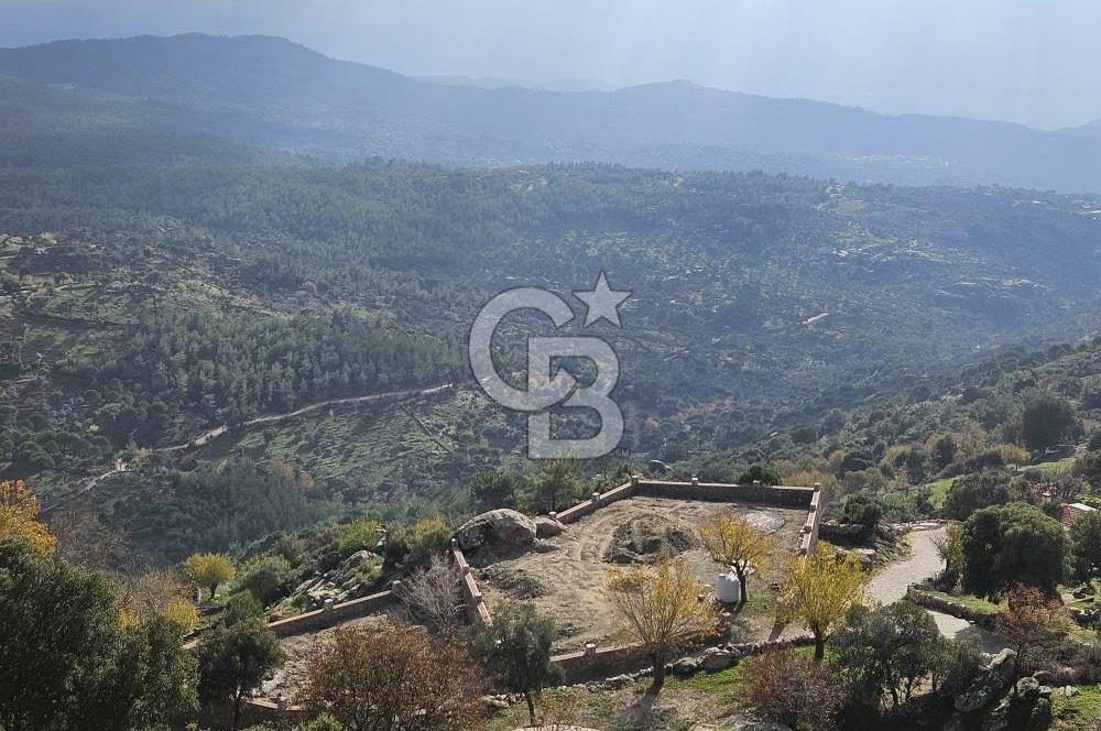 Ketenderede 1.110 m² Tarla + Kargir Ev