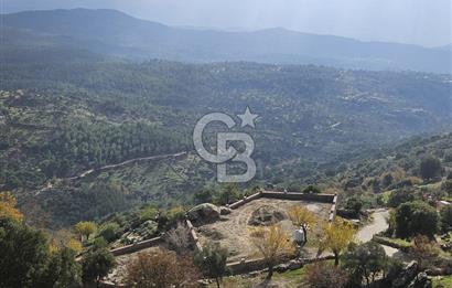 Ketenderede 1.110 m² Tarla + Kargir Ev