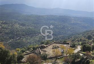 Ketenderede 1.110 m² Tarla + Kargir Ev - 1 - 324203