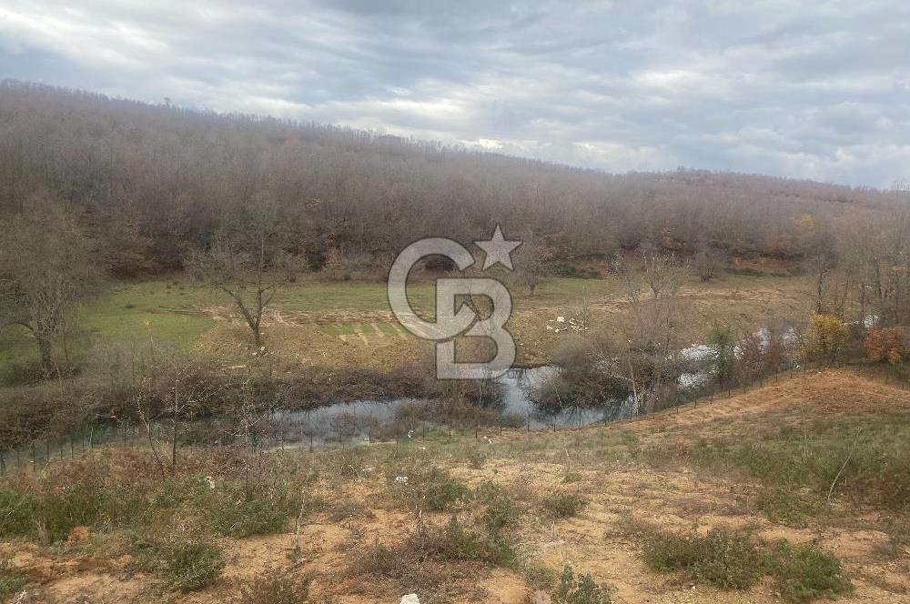 YALOVA ALTINOVA ÖRENCİK KÖYÜ 8431,76 M2 TARIMA UYGUN TARLA !