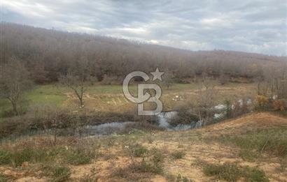 YALOVA ALTINOVA ÖRENCİK KÖYÜ 8431,76 M2 TARIMA UYGUN TARLA !